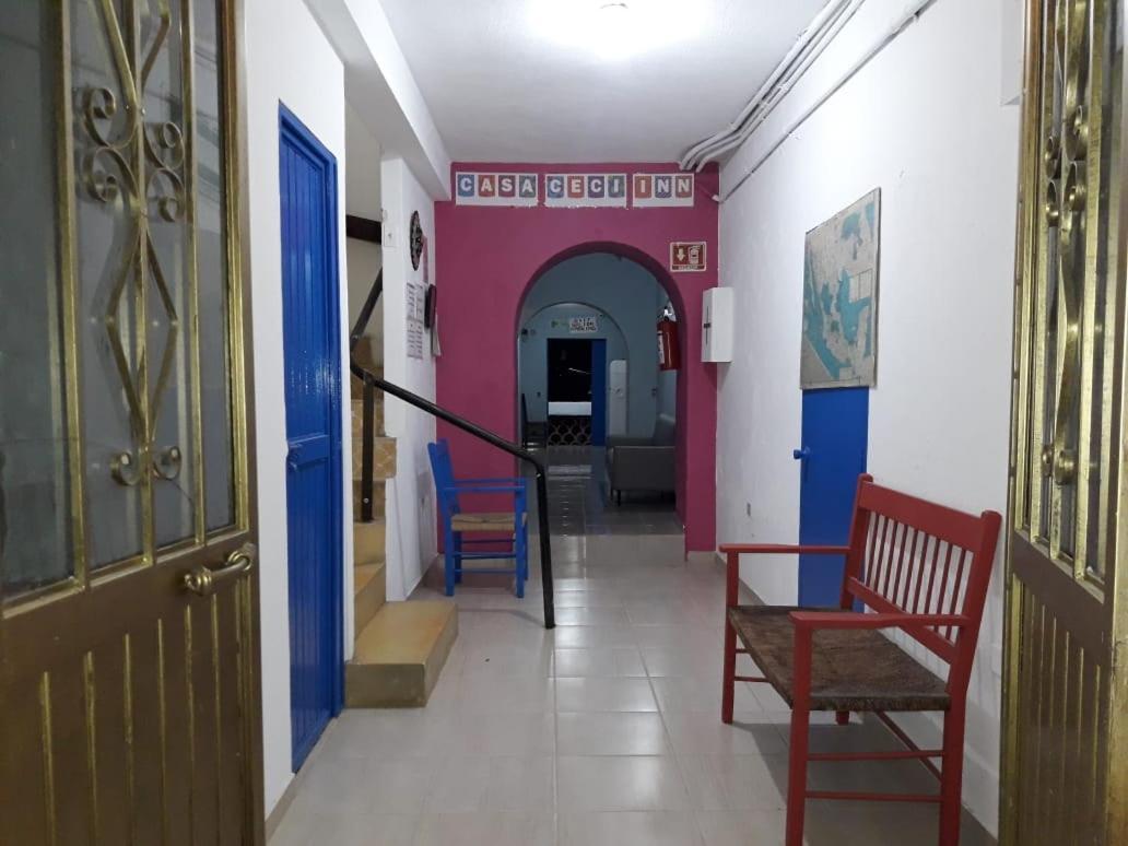 Hotel Casa Ceci Inn San José del Cabo المظهر الخارجي الصورة